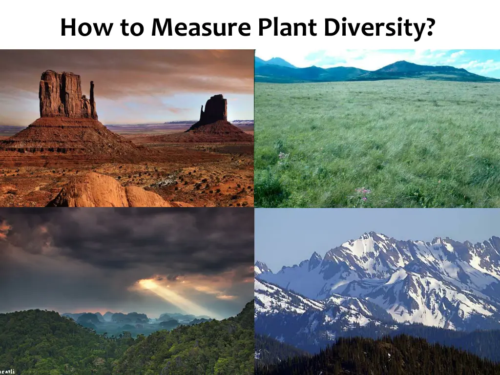 ecosystem diversity how to measure plant diversity