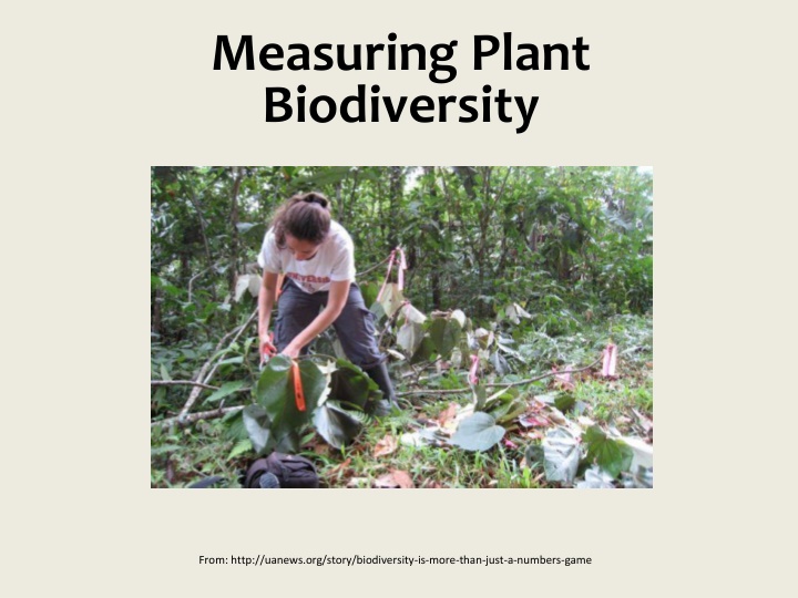 measuring plant biodiversity