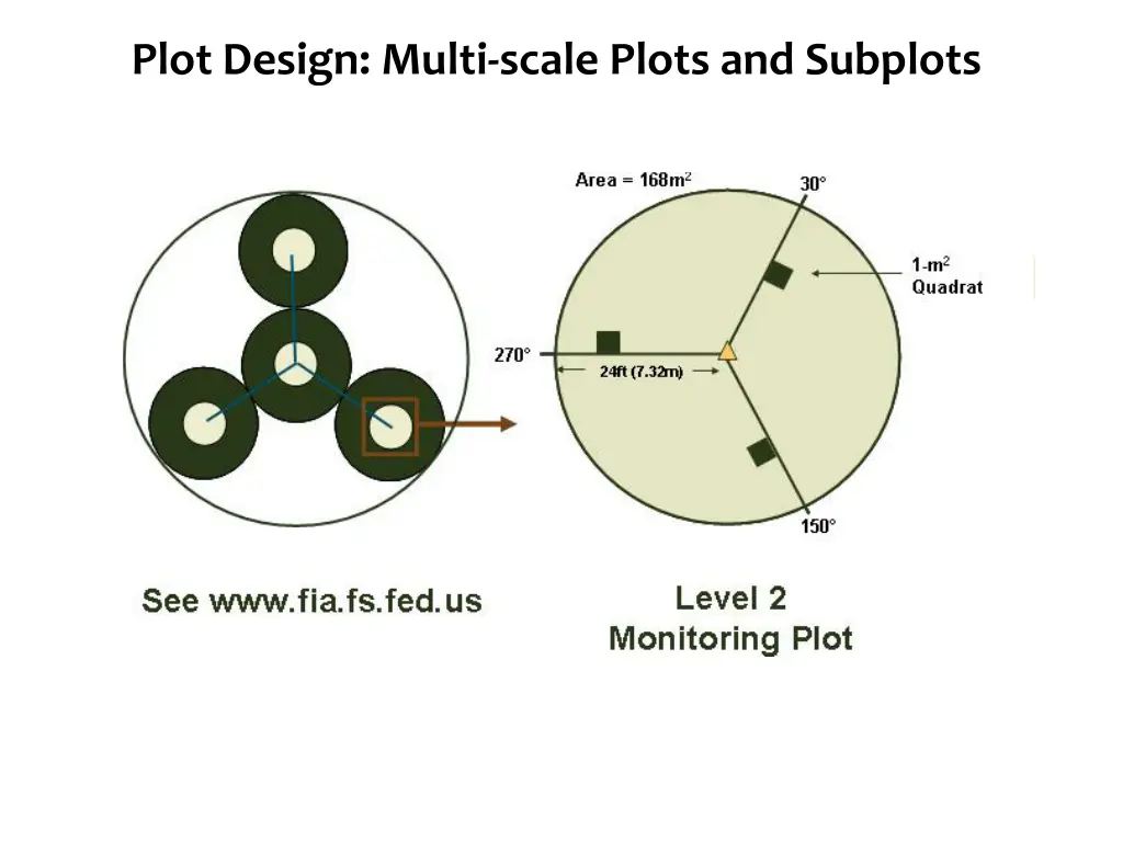 species diversity 1