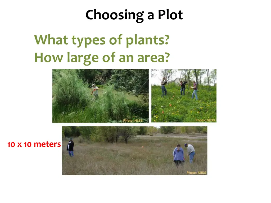 species diversity choosing a plot