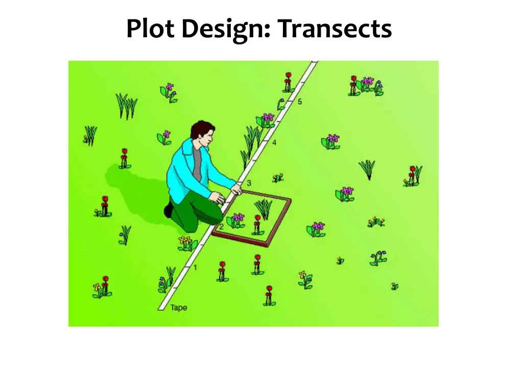 species diversity plot design transects