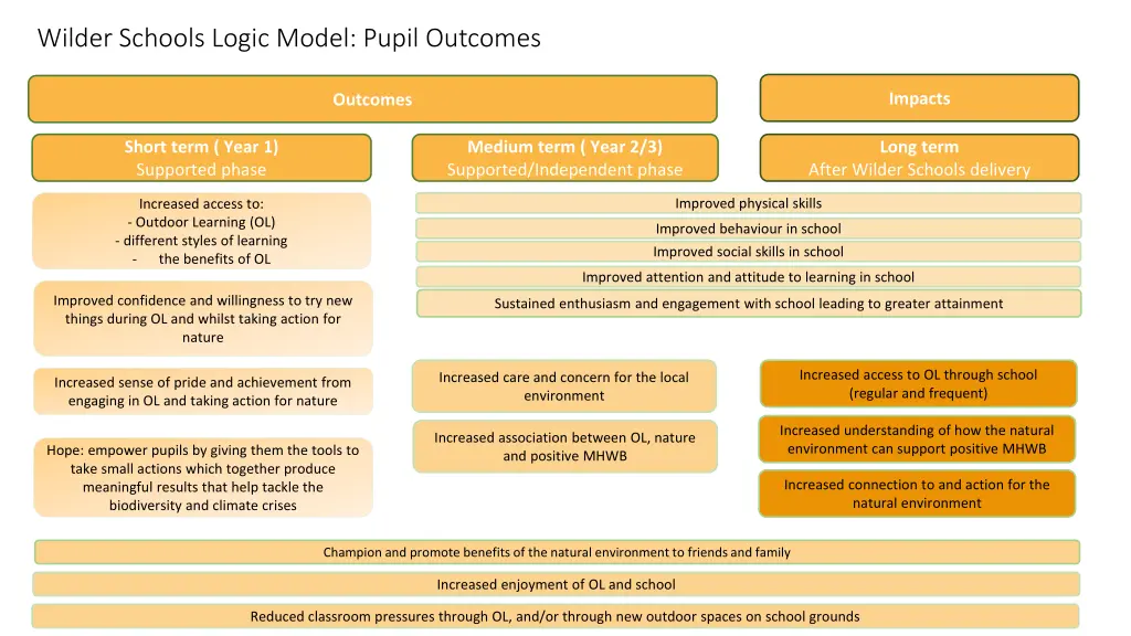 wilder schools logic model pupil outcomes