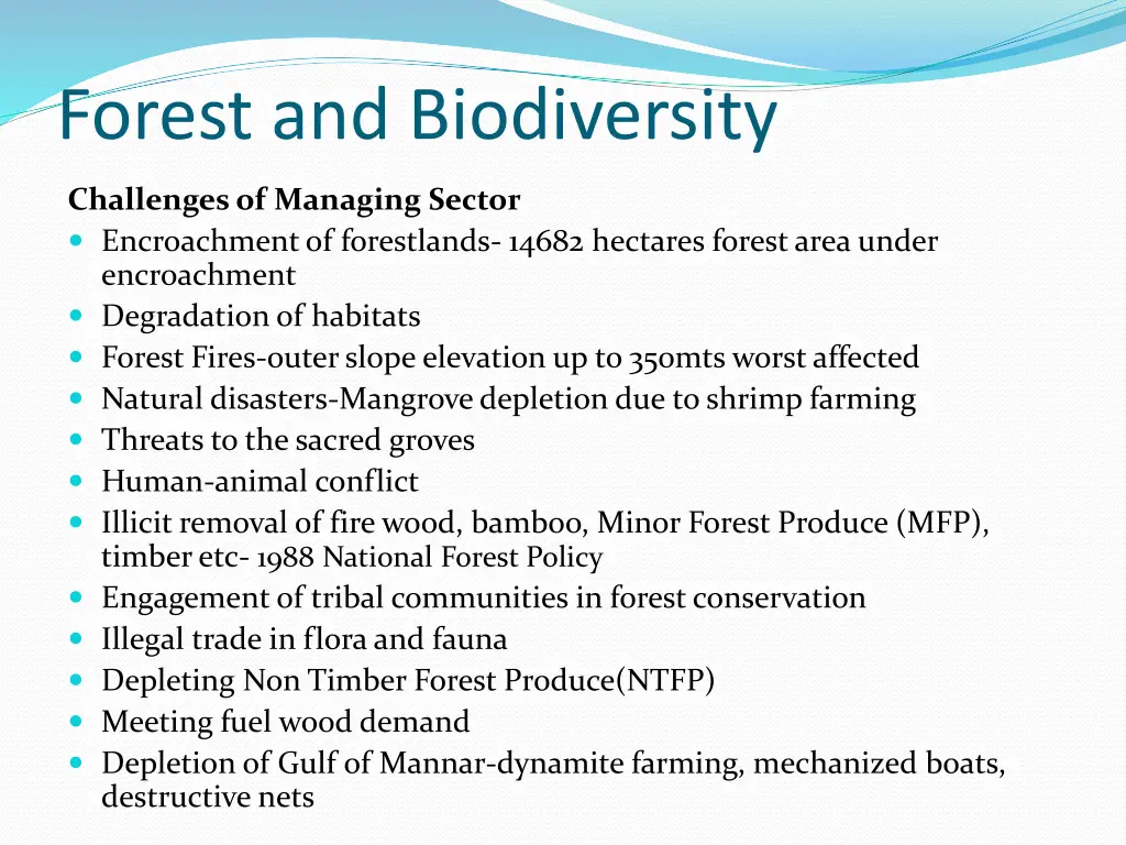 forest and biodiversity 3