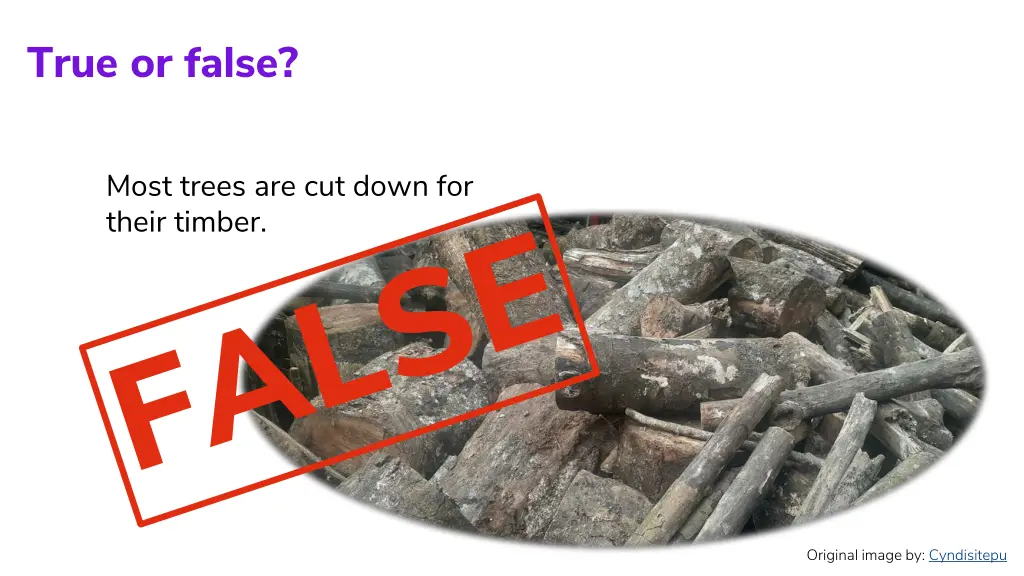 true or false 1