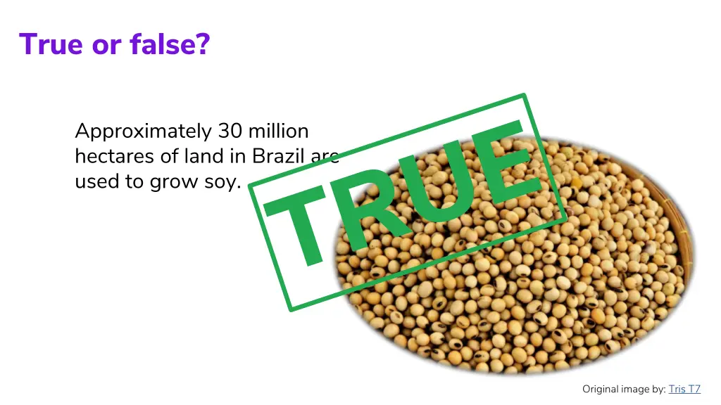 true or false 3