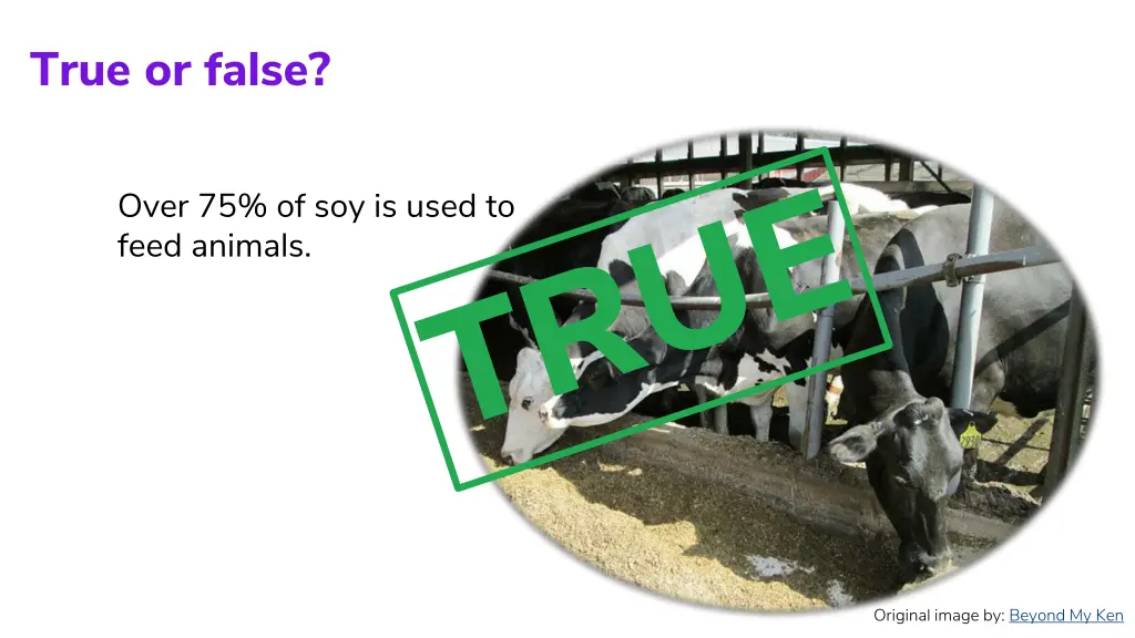 true or false 4