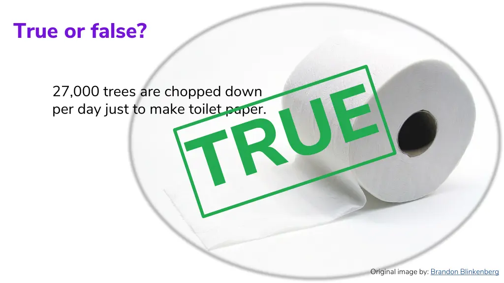true or false