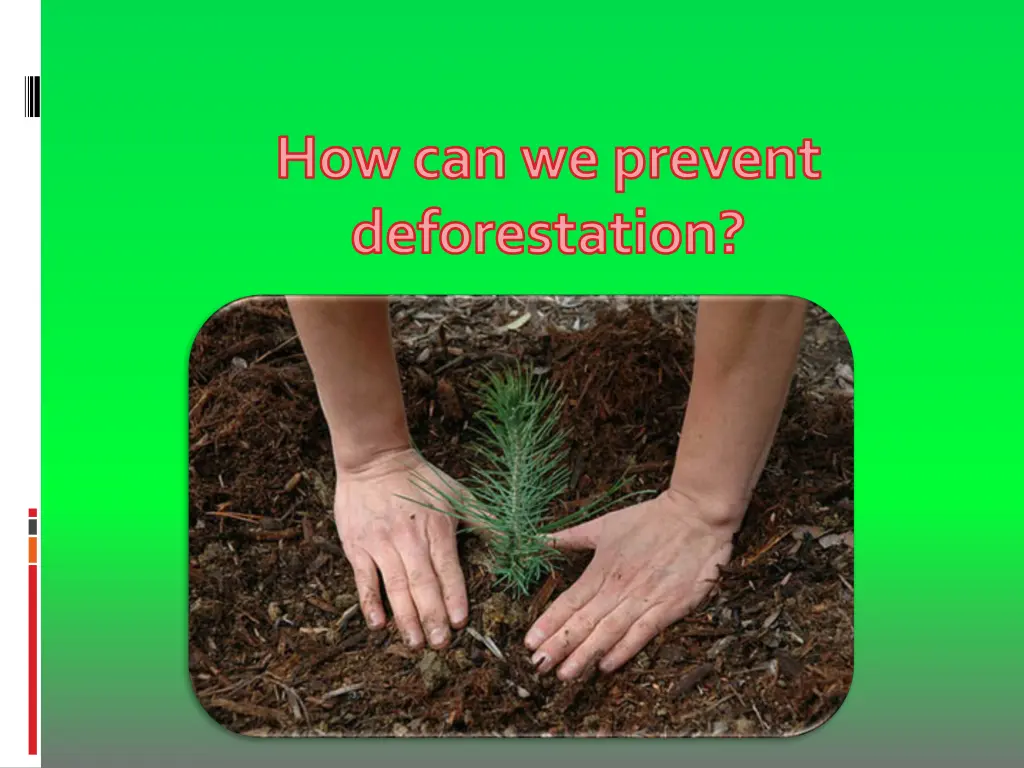 how can we prevent deforestation