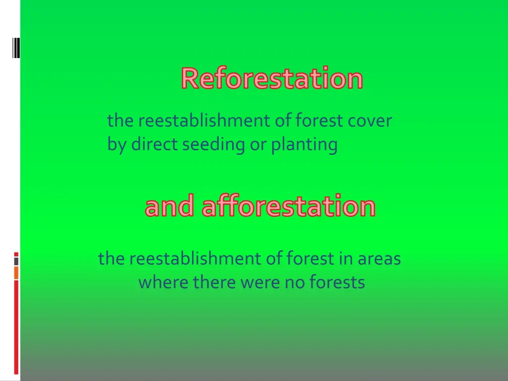 reforestation