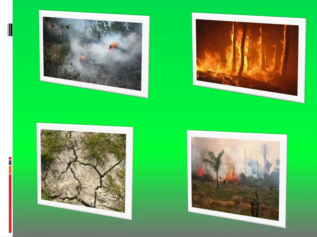 slide6