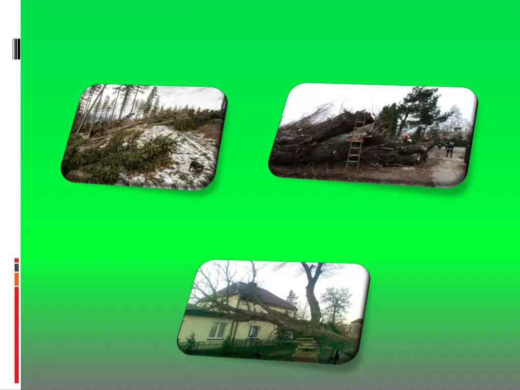 slide8