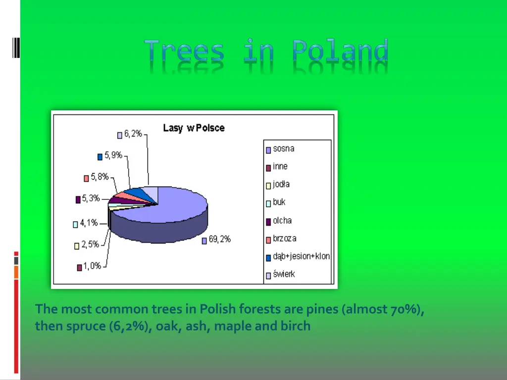 the most common trees in polish forests are pines