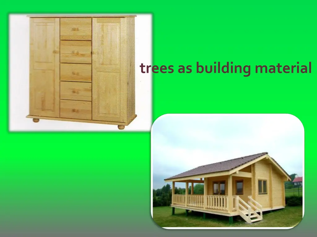 trees as building material