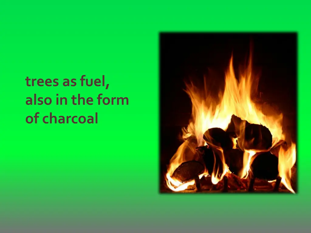 trees as fuel also in the form of charcoal