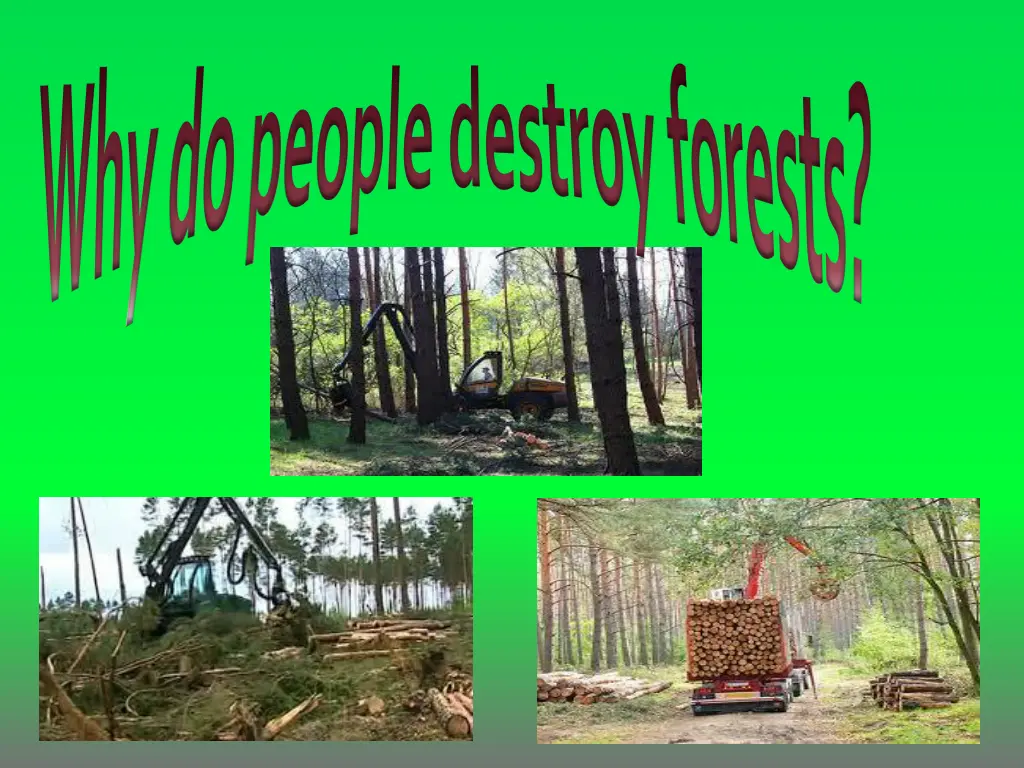 why do people destroy forests