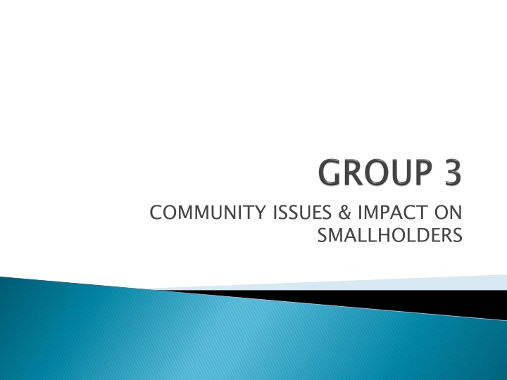 community issues impact on