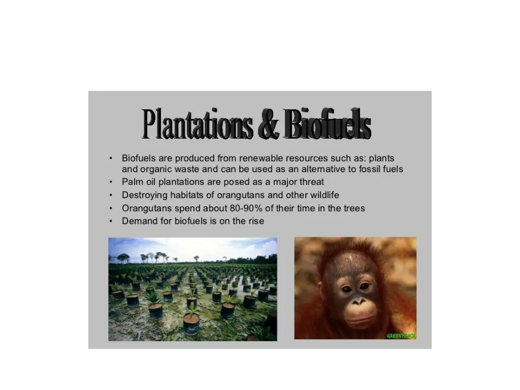 slide5