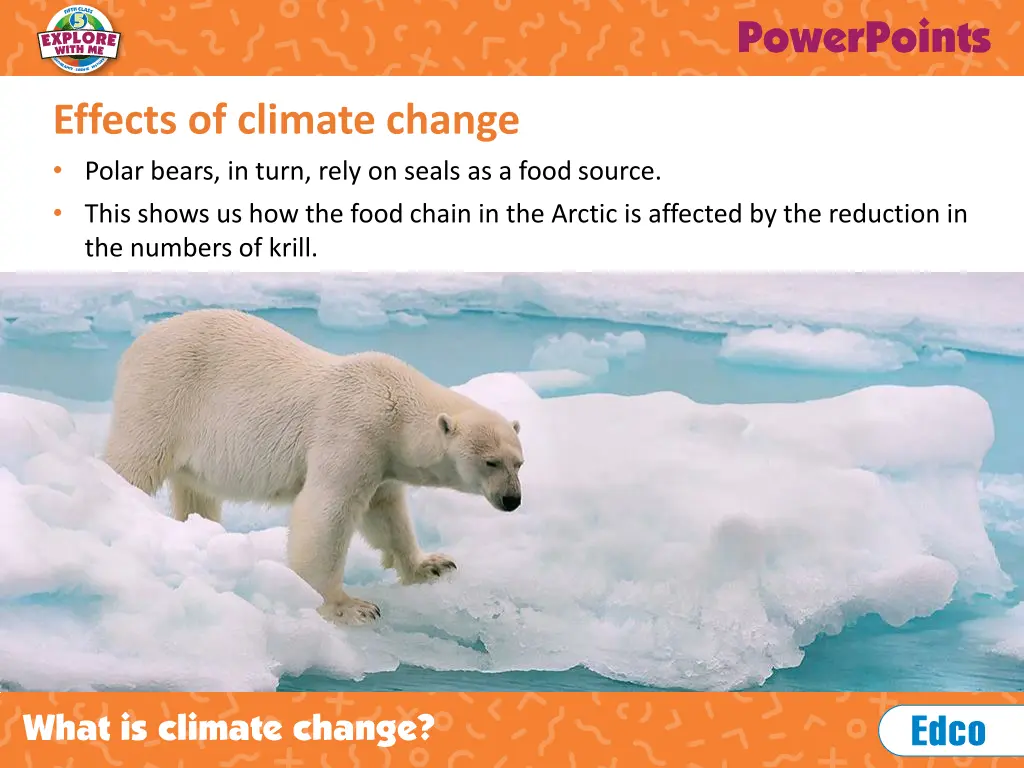effects of climate change polar bears in turn