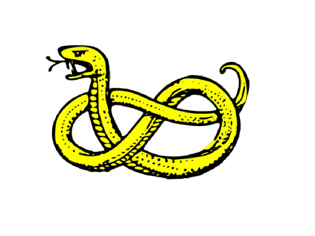 snake clip art