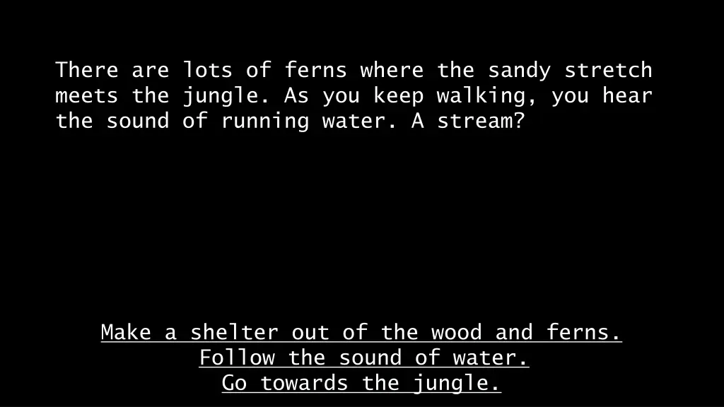 there are lots of ferns where the sandy stretch 1