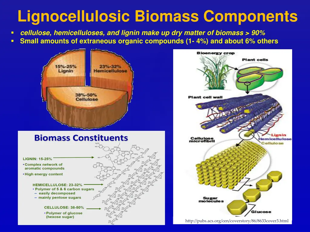 lignocellulosic biomass components
