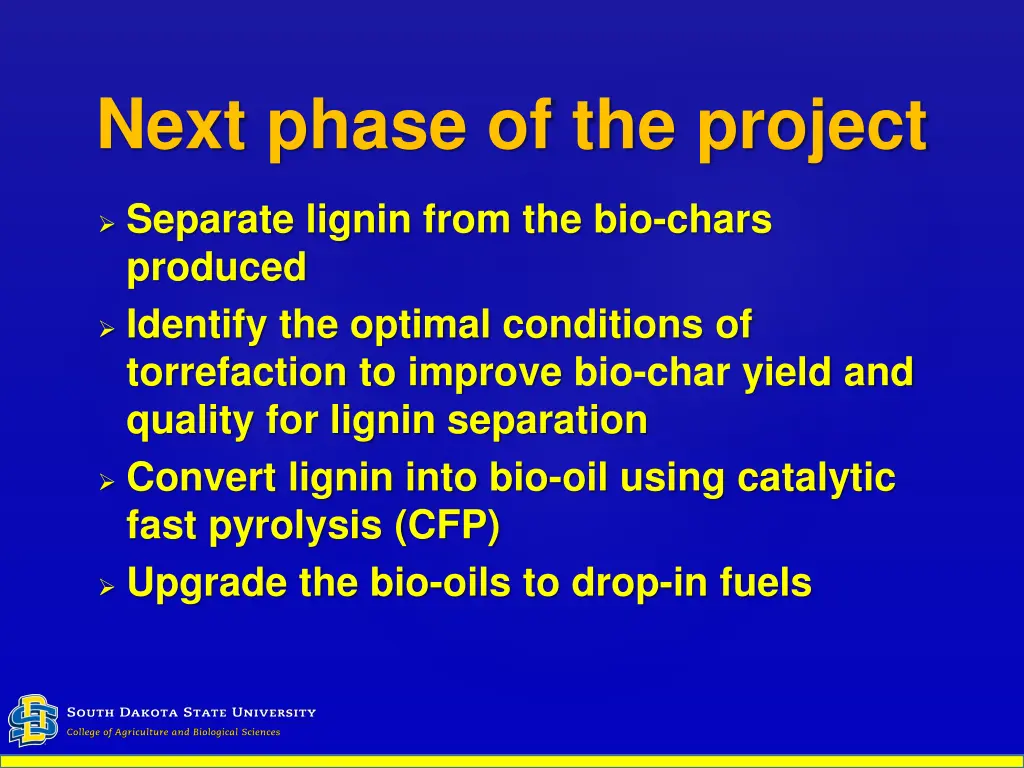 next phase of the project