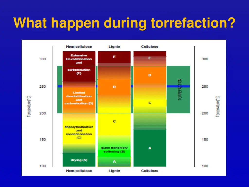 what happen during torrefaction