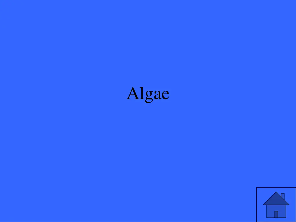 algae