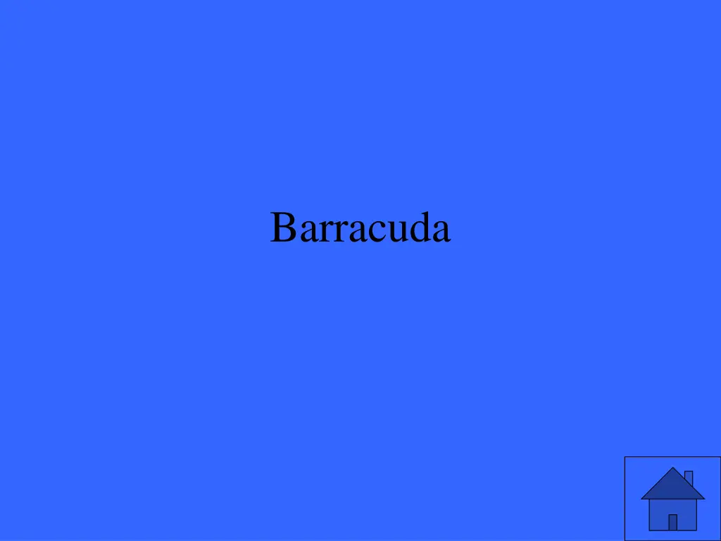 barracuda