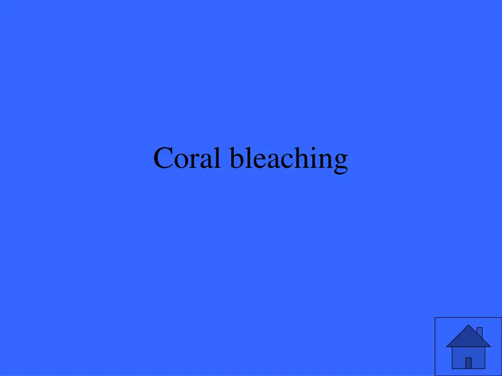 coral bleaching