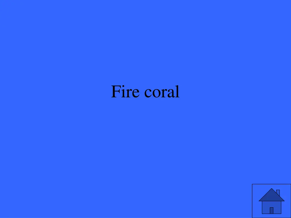 fire coral