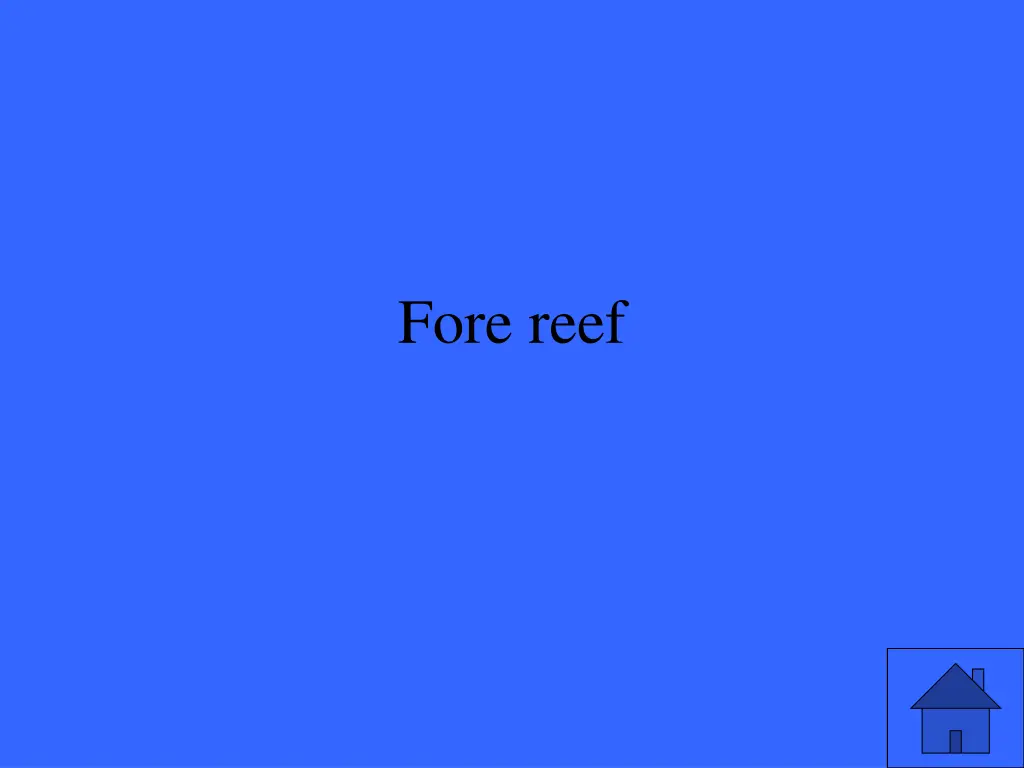 fore reef