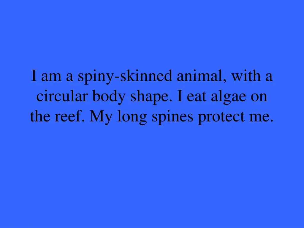 i am a spiny skinned animal with a circular body