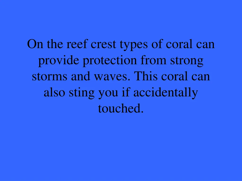 on the reef crest types of coral can provide