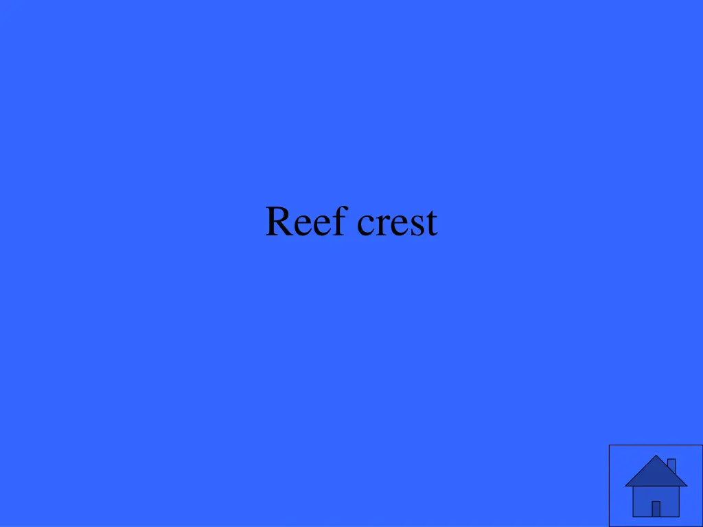 reef crest