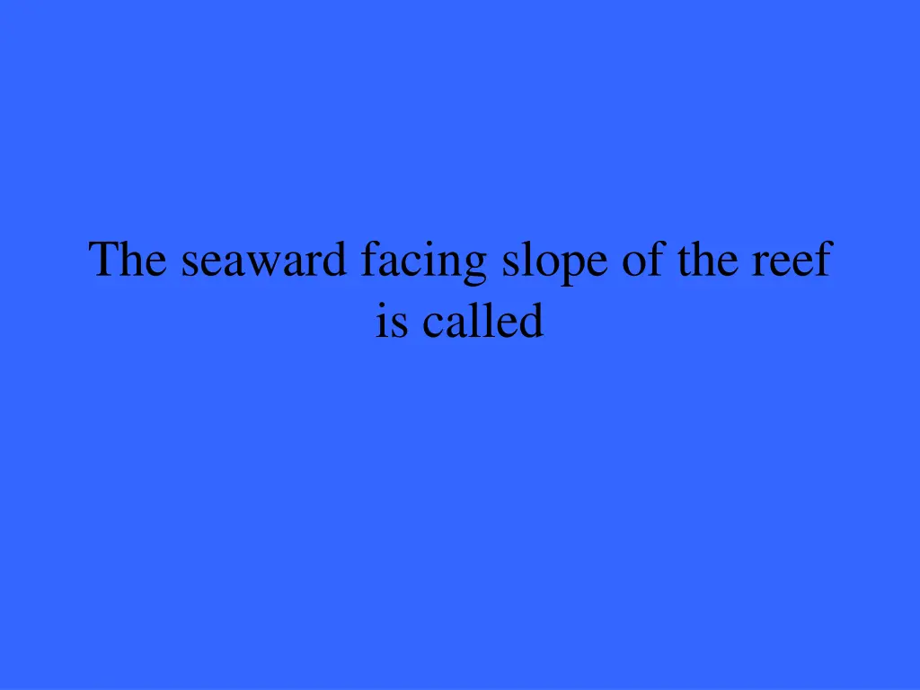 the seaward facing slope of the reef is called