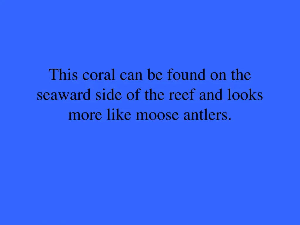 this coral can be found on the seaward side