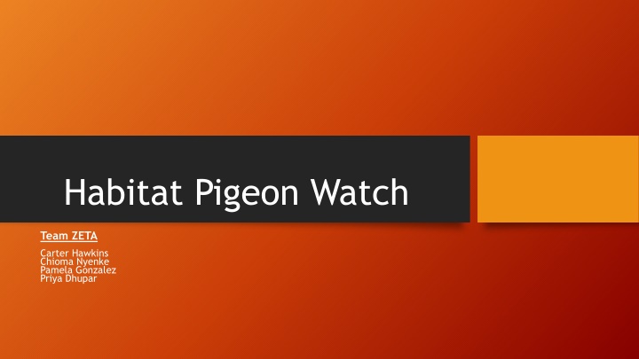 habitat pigeon watch