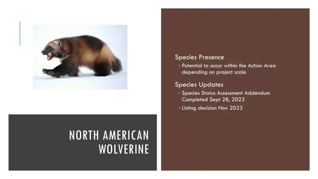 species presence potential to occur within