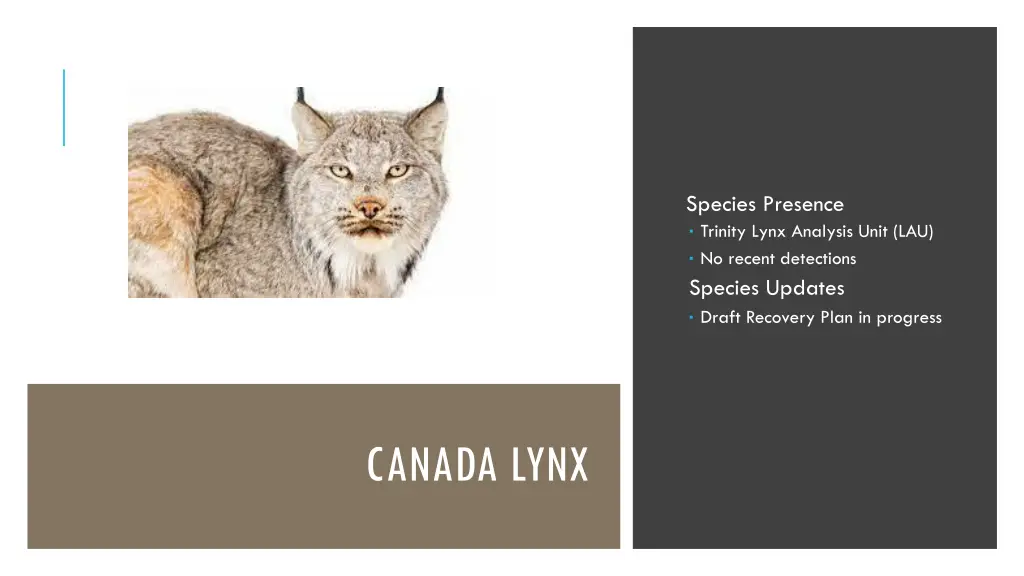 species presence trinity lynx analysis unit