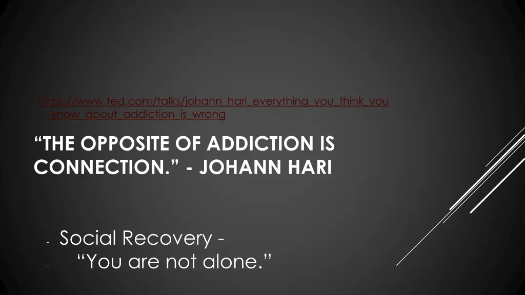 https www ted com talks johann hari everything