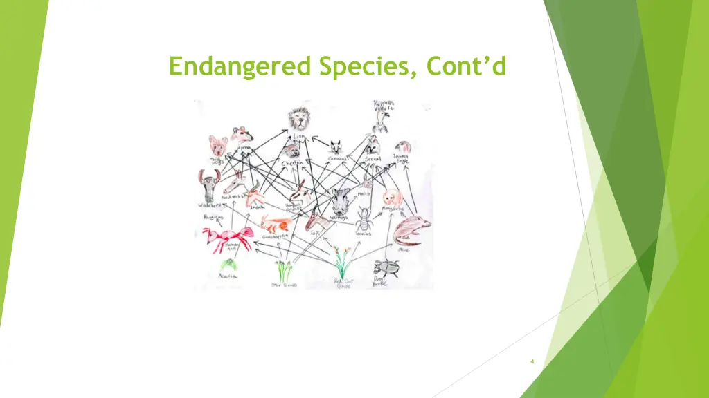 endangered species cont d 2