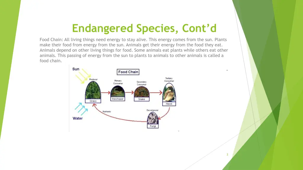 endangered species cont d