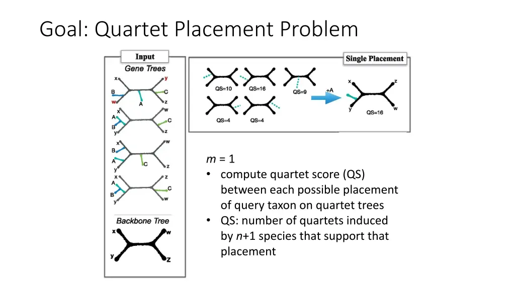 goal quartet placement problem 1