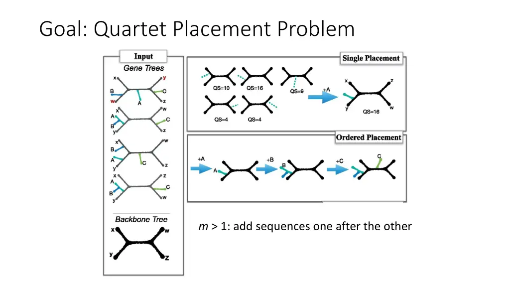 goal quartet placement problem 2
