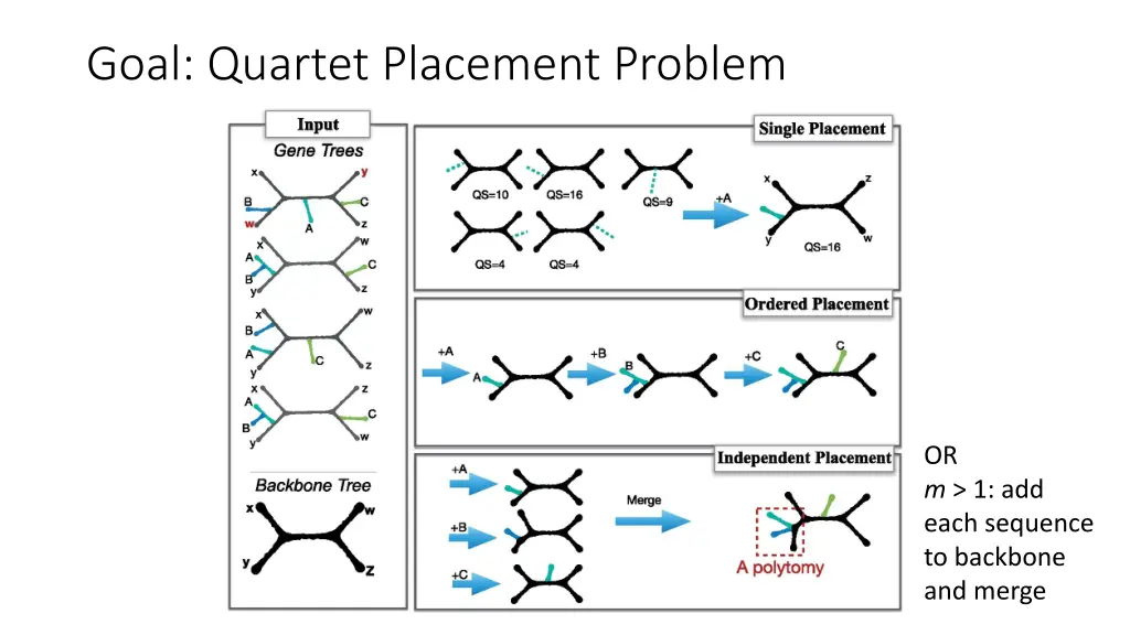 goal quartet placement problem 3