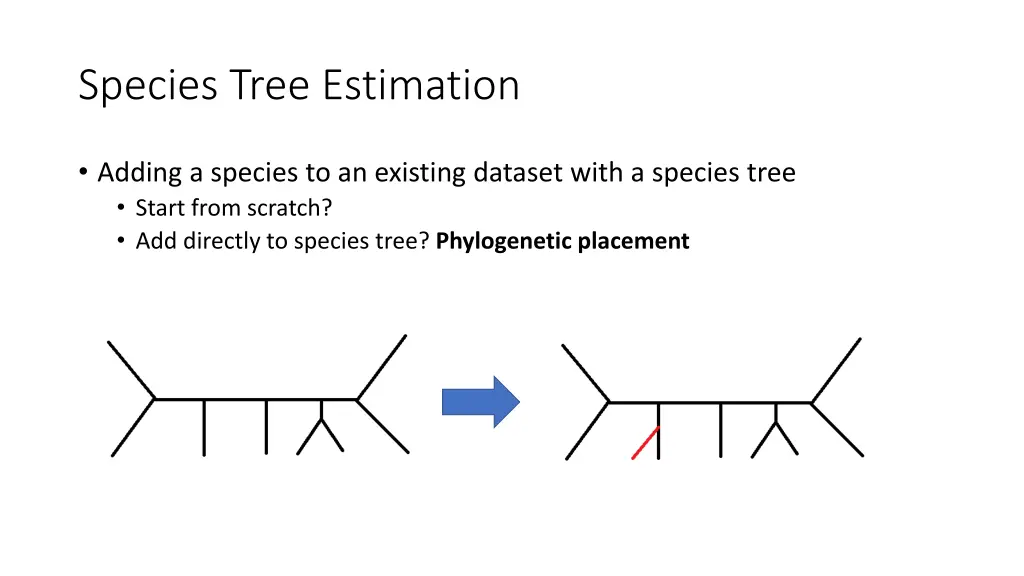 species tree estimation