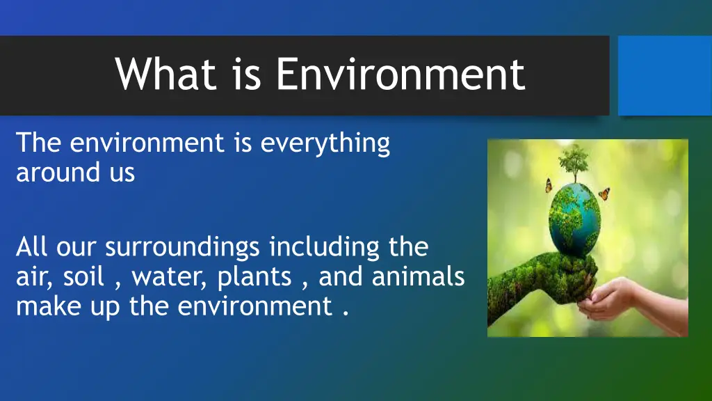 what is environment