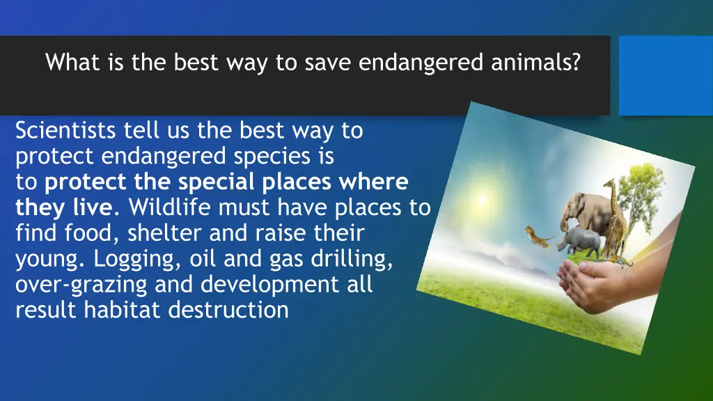 what is the best way to save endangered animals
