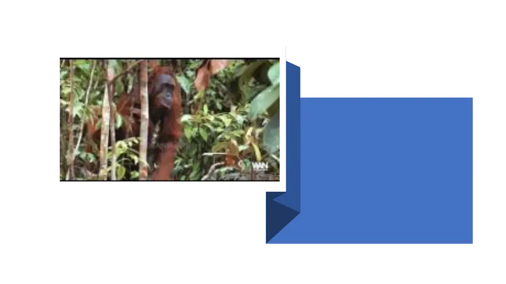 slide4